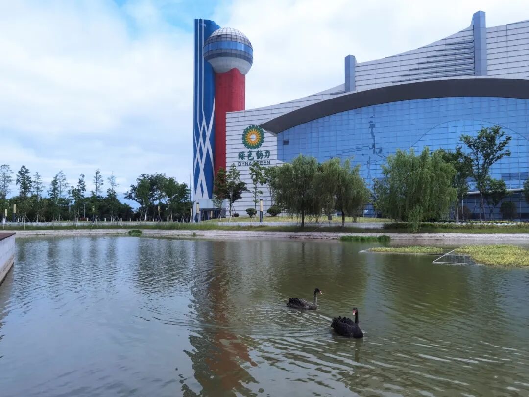 ²»ÐàÇéÔµ_Ê×Ò³¹ÙÍøÈë¿Ú